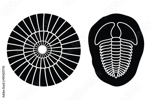 Fossilized trilobite and sea urchin icons