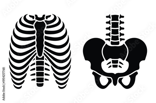 Rib cage and pelvis icons