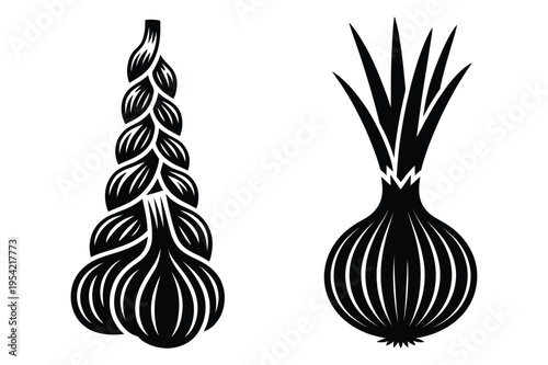 Garlic and onion illustrations with black and white