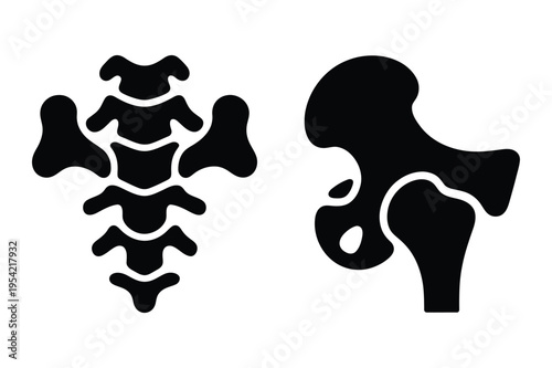 Spine vertebrae and hip bone icons human anatomy medical graphic