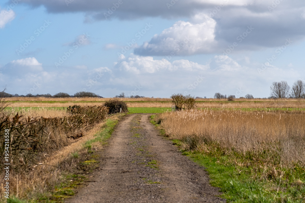 Fototapeta premium Footpath in the Norfolk marshes Selective focus and bokeh