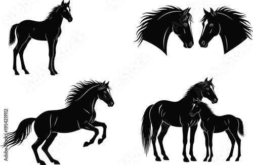 Silhouette horses in various poses including rearing, running, mare with foal, and horse heads facing each other, artistic animal illustration for equestrian design and decoration