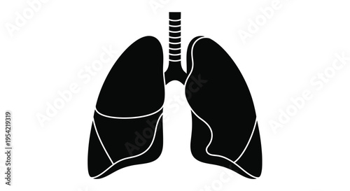 Anatomical illustration of human lungs in a stark black silhouette
