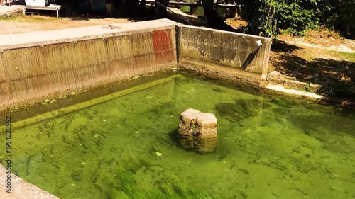 Little girl in a dress and hat walking near of pond with fish.