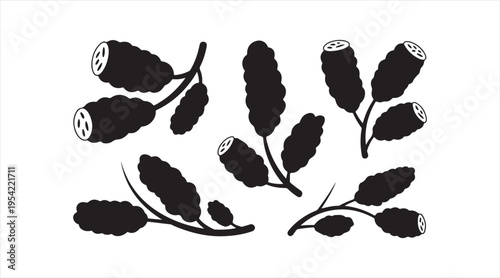 Simple tamarind shapes collection flat black fruit illustration for food and botanical design