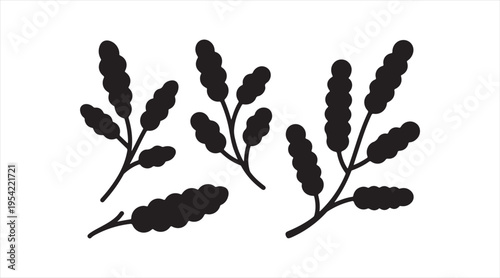 Tamarind silhouettes black vector set pods and branches minimalist tropical fruit icons
