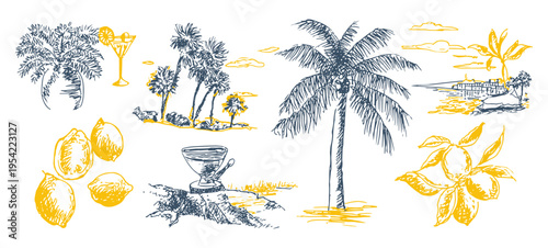 Tropical summer sketch vector set with palm trees lemons cocktail hand drawn grunge illustration, tropical, summer, travel, beach, sketch, doodle
