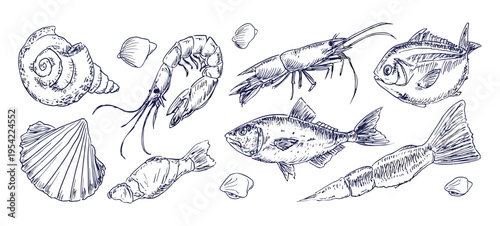 Vintage seafood illustration set with fish shrimp squid shells and crustaceans in hand drawn engraving style for menu, restaurant and packaging design