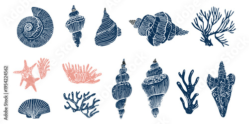 Seashell and coral illustration set in vintage engraving style with marine elements for coastal decor, packaging and nautical design