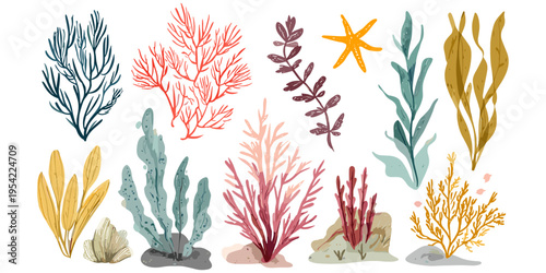 Seaweed and coral illustration set in hand drawn style with colorful marine plants collection for ocean design, aquarium decor and coastal graphics