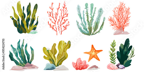 Hand drawn seaweed and coral collection in modern flat illustration style for underwater design, marine branding and tropical decoration