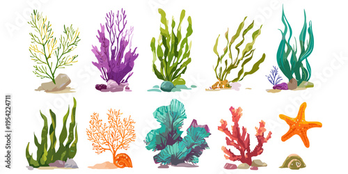 Marine plants and coral illustration set in colorful minimalist style for ocean themed design, packaging, textile and coastal decor