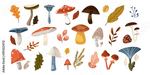 Autumn mushrooms and leaves illustration set in hand drawn style with forest elements collection for seasonal design, packaging and nature decor