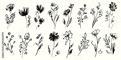 Hand drawn floral collection in black ink style with abstract blooming flowers for artistic design, packaging and modern decoration