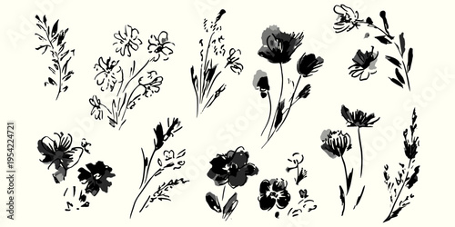 Blooming flowers illustration set in expressive ink brush style with hand drawn floral elements for botanical design, branding and decoration