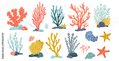 Seaweed and coral collection in modern flat illustration style with underwater elements for coastal design, packaging and marine decor