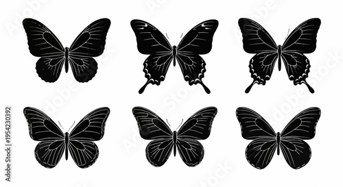 Collection of six black butterfly silhouettes with white wing patterns and veins isolated on white background, featuring symmetrical insect shapes and swallowtail designs for graphic use.