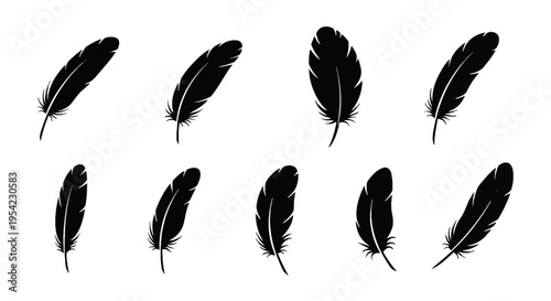 Collection of nine black feather silhouettes isolated on a white background featuring various bird wing and tail plumage styles, ideal for graphic design and icon sets.