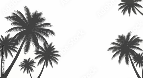 Black silhouettes of tropical palm trees against a plain white background. Multiple palm fronds and trunks visible in a minimalist botanical composition for summer design projects.