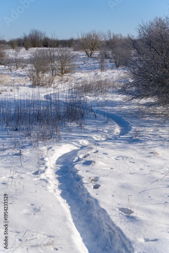 Wallpaper Mural A winding path carved through deep snow in a frost-covered field Torontodigital.ca