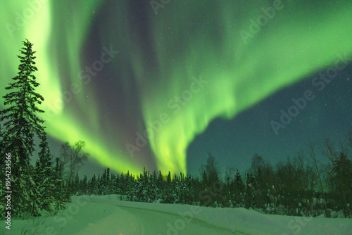 Aurora Borealis near Yellowknife, Canada