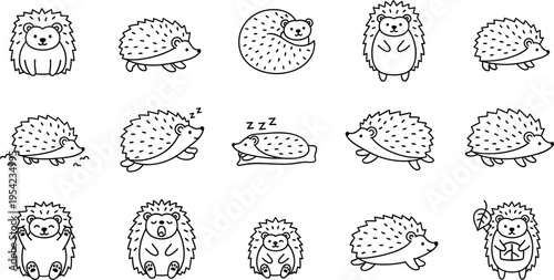 Cute Hedgehog Character Pose Icon Set — Sitting, Sleeping, Walking, Curled and Playing Cartoon Line Art