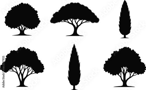 Collection of six diverse black tree silhouettes including oak cypress and spreading canopy shapes isolated on white background for landscape design and nature illustrations