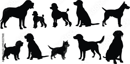Collection of various dog breed silhouettes including poodle labrador retriever and terrier in sitting and standing positions isolated on white background for pet design