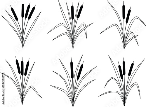 Set of six cattail plant silhouettes with long leaves and bulrush stems isolated on white background for wetland nature illustrations and pond landscape design