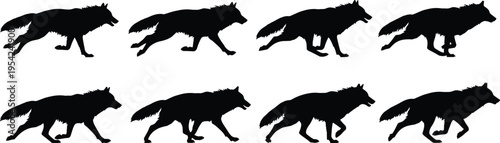 Dynamic silhouette vector illustration of running wolf in motion sequence showing animal stride, anatomy, and fluid movement