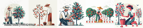 Vector Illustration of Farmer Harvesting Strawberries