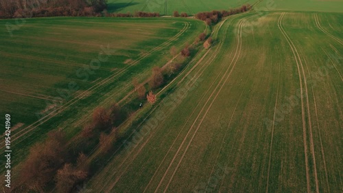 Aerial drone footage slowly rising above a lone cyclist traveling along a curved path lined with bare hedgerow trees between lush green agricultural fields. As the drone ascends, the curved patterns o