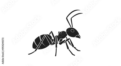 Black silhouette of an ant insect.