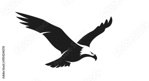 Black silhouette of flying eagle bird.