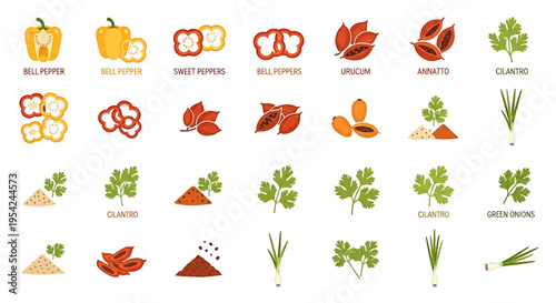 A colorful vector graphic illustration of various spices and herbs icons, including bell peppers, sweet peppers, uriculum, annatto, cilantro, and green onions.