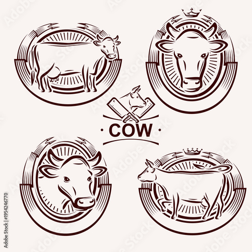 Cow labels and icon set. Collection icons cow. Vector