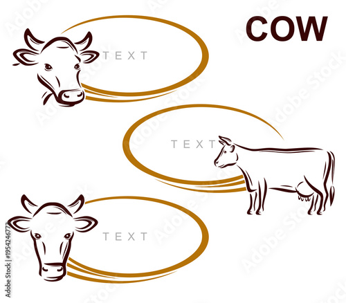 Cow labels and icon set. Collection icons cow. Vector