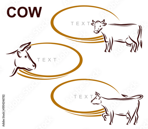 Cow labels and icon set. Collection icons cow. Vector