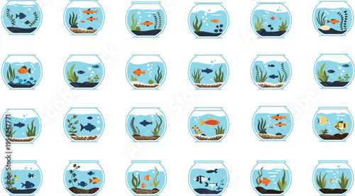 Collection of colorful fish in various decorative fishbowls with plants and ornaments