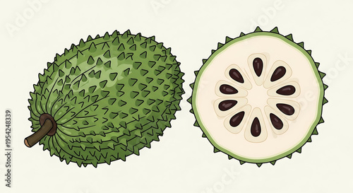 A vector graphic illustration of a durian fruit and its cross-section, showcasing the spiky exterior and creamy interior with seeds.