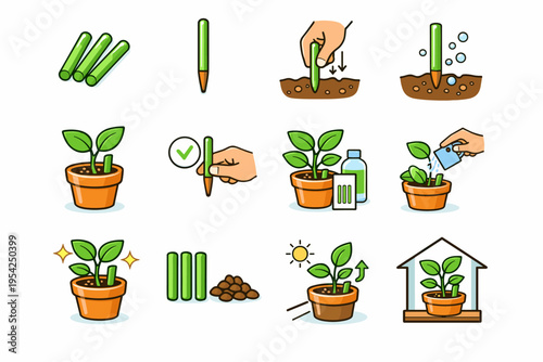 Houseplant sticks insertion form image indoor tip vector plant generation icon spike