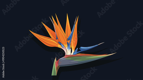 Exotic Bird of Paradise Flower Tropical Bloom Isolated on Dark Background