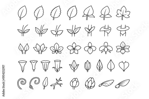 Trichome icons morph image tendril simple variants calyx array vector generation icon