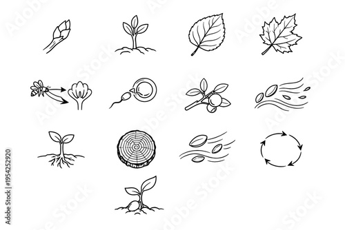 Arc image simple emergence growth vector winter icon dispersal generation ring fertilization