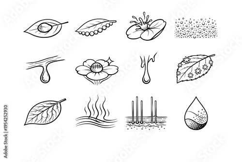 Simple moisture leaf image generation water crystal vector sap condensation vein flow