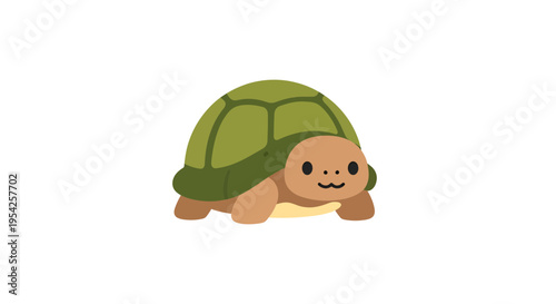 Illustrative cartoon turtle with a charming expression adding playfulness