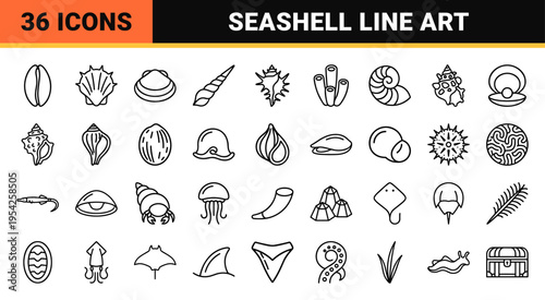 Ultra Minimalist Seashell Line Art Collection Featuring Geometric Marine Outlines and Coastal Biology Symbols for Modern Branding and Web Design