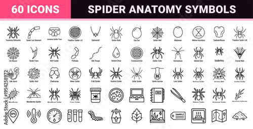 Arachnology and Entomology Research Line Icons Featuring Minimalist Spider Anatomy and Insect Biology Symbols for Scientific UI Design