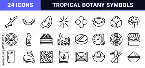 Mangosteen and Tropical Fruit Botanical Outline Symbols for Commercial Nutrition, Holistic Wellness, and Organic Agriculture Branding