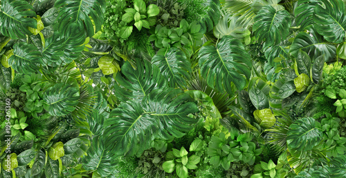 Tableau sur toile lush and vibrant tropical foliage background filled with rich green leaves, crea